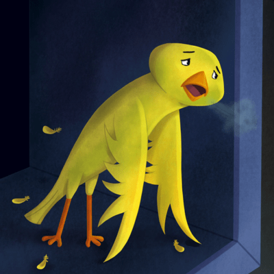 Sick canary